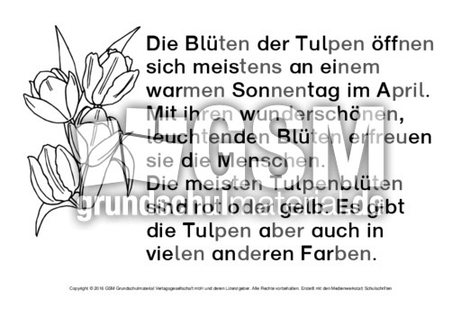 Tulpe-Abschreibtexte-SW 3.pdf